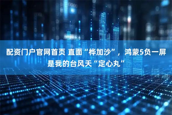 配资门户官网首页 直面“桦加沙”，鸿蒙5负一屏是我的台风天“定心丸”