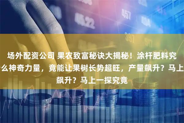 场外配资公司 果农致富秘诀大揭秘！涂杆肥料究竟藏着什么神奇力量，竟能让果树长势超旺，产量飙升？马上一探究竟